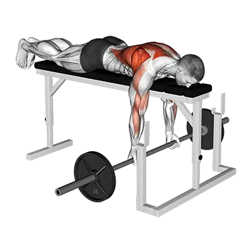 Barbell Lying Close Grip Underhand Row on Rack