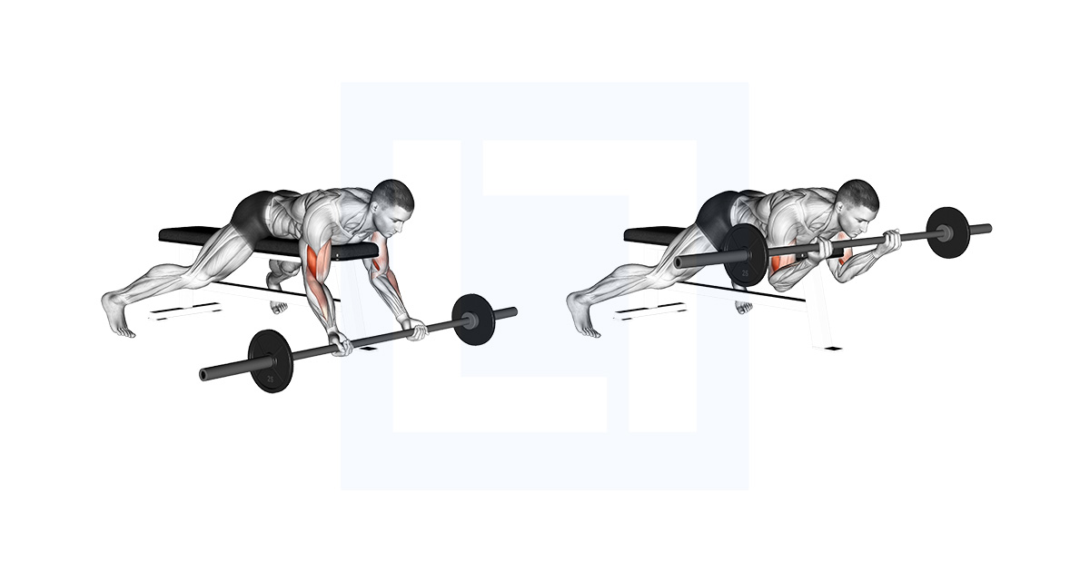 Barbell Lying Preacher Curl