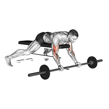 Barbell Lying Preacher Curl