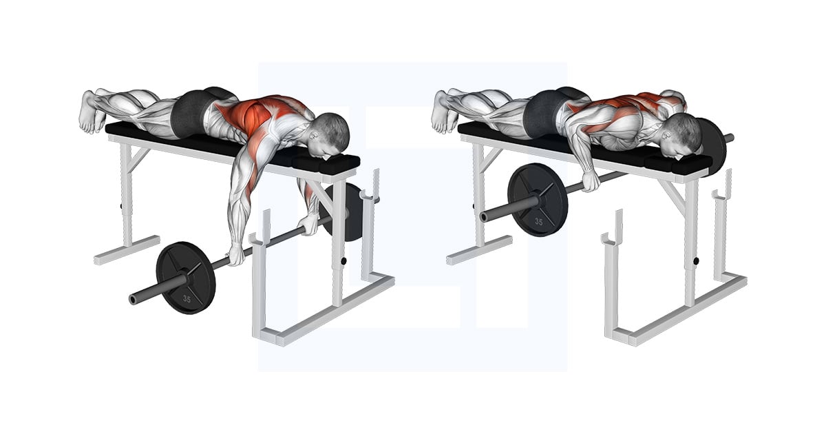 Barbell Lying Row on Rack