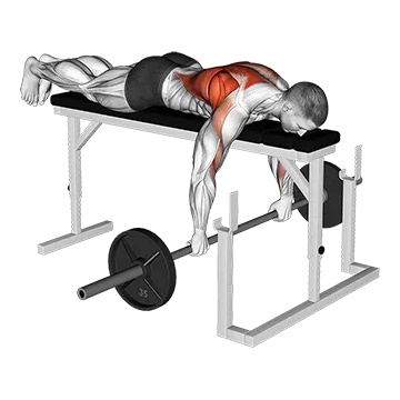 Barbell Lying Row on Rack