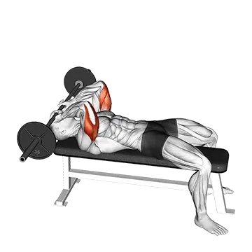 Best Powerlifting Program Barbell Lying Triceps Extension Skull Crusher