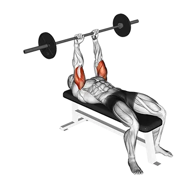 Best Barbell Tricep Workouts Barbell Lying Triceps Extension