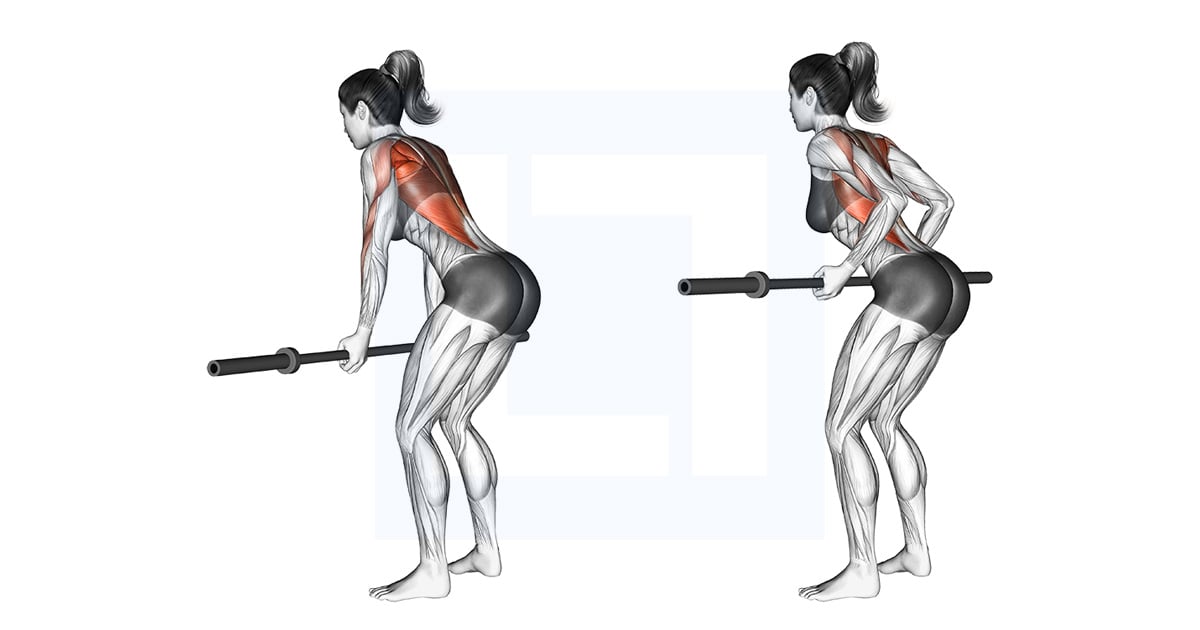 Barbell Narrow Row