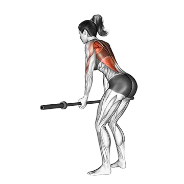 Best Barbell Back Workouts Barbell Narrow Row
