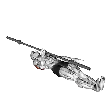 Barbell One Arm Floor Press