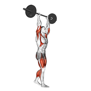 Best Barbell Forearm Workouts Barbell Overhead Carry