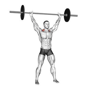 Best Barbell Shoulder Workouts Barbell Overhead Shrug