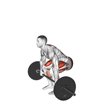 Best Barbell Hamstring Workouts Barbell Pause Deadlift