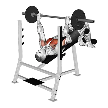 Barbell Pause Decline Bench Press
