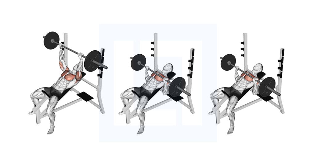 Barbell Pause Incline Bench Press