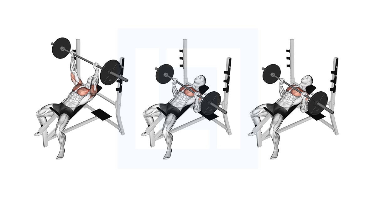 Barbell Pause Incline Bench Press