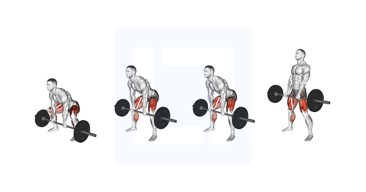 Barbell Paused Sumo Deadlift