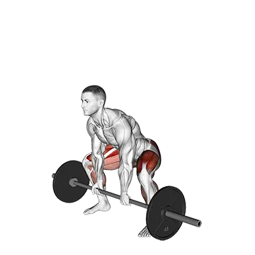 Barbell Paused Sumo Deadlift