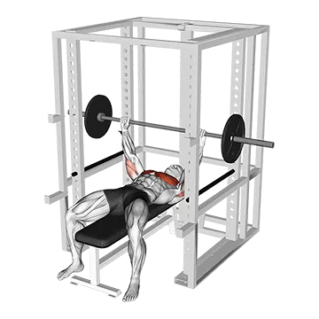 Best Barbell Chest Workouts Barbell Pin Chest Press
