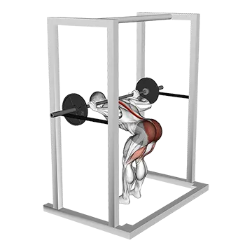 Barbell Pin Good Morning