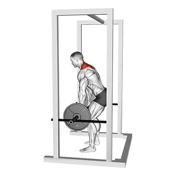Best Barbell Shoulder Workouts Barbell Power Shrug