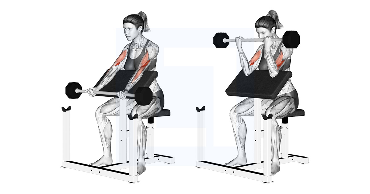 Standing Barbell Preacher Curl At Bethany Lindrum Blog Standing Barbell Preacher Curl At Bethany Lindrum Blog