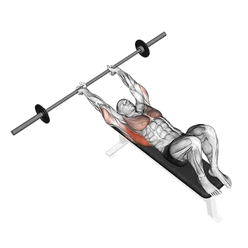 Best Pectoralis Major Exercises Barbell Pullover