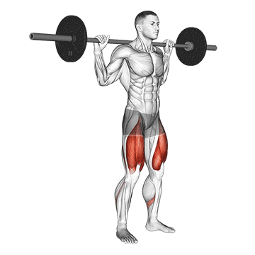 Best Barbell Glute Workouts Barbell Quarter Squat