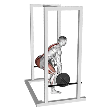 How To Build Bigger Traps Barbell Rack Pull