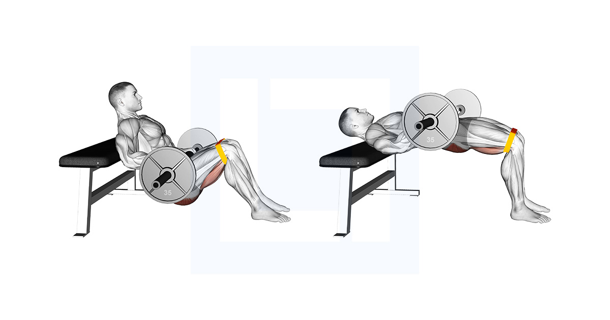 Barbell Resistance Band Hip Thrust