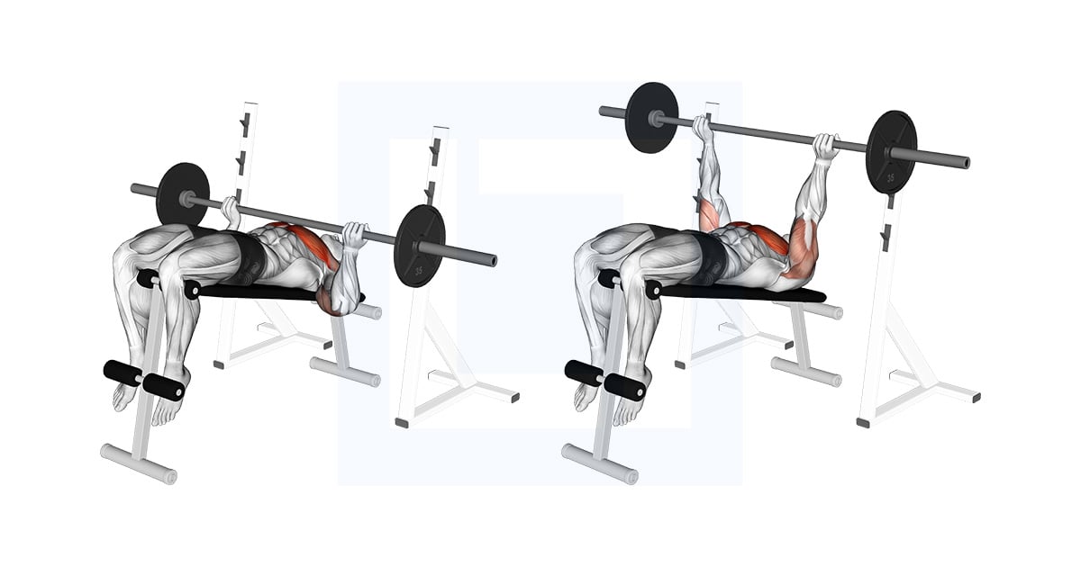 Barbell Reverse Grip Decline Bench Press