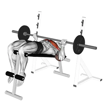 Barbell Reverse Grip Decline Bench Press