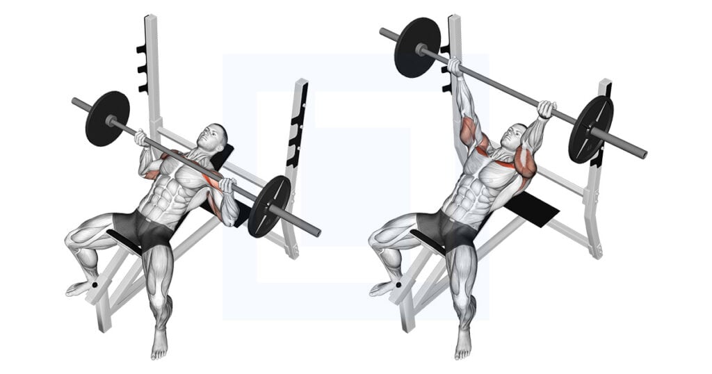 Barbell Reverse Grip Incline Bench Press Guide Benefits And Form Barbell Reverse Grip Incline Bench Press Guide Benefits And Form