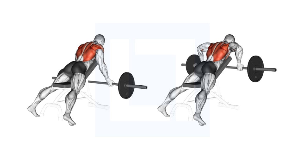 BB Reverse Grip Incline Bench Row: Chest Supported Underhand