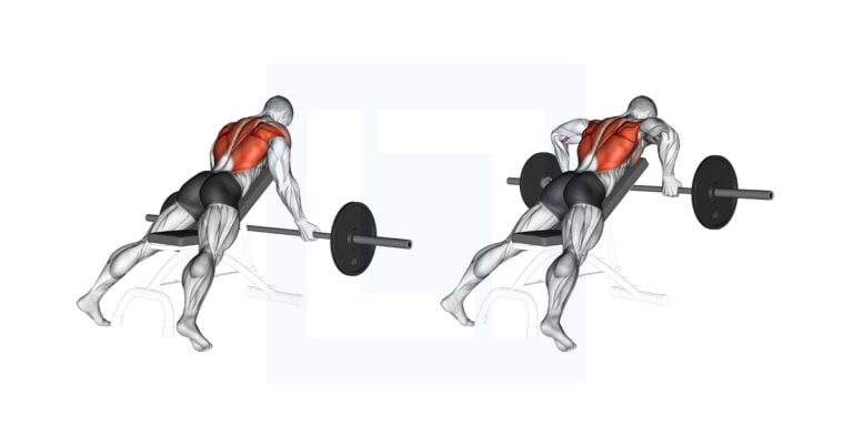 BB Reverse Grip Incline Bench Row: Chest Supported Underhand