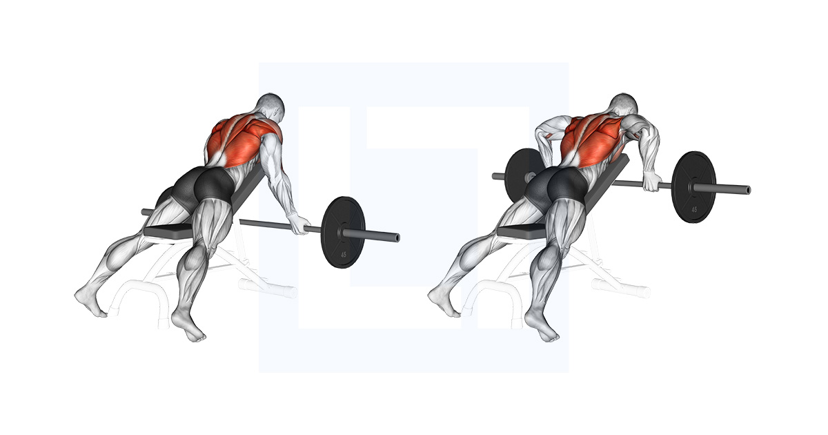 Barbell Reverse Grip Incline Bench Row