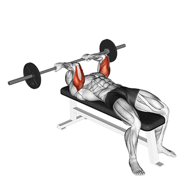 Best Barbell Tricep Workouts Barbell Reverse Grip Skullcrusher