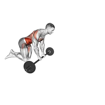 Best Ab Workouts With Weights Barbell Rollout