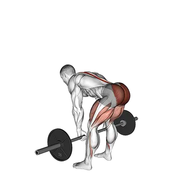 How To Grow Your Glutes Barbell Romanian Deadlift