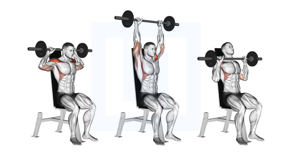 Barbell Seated Bradford Rocky Press