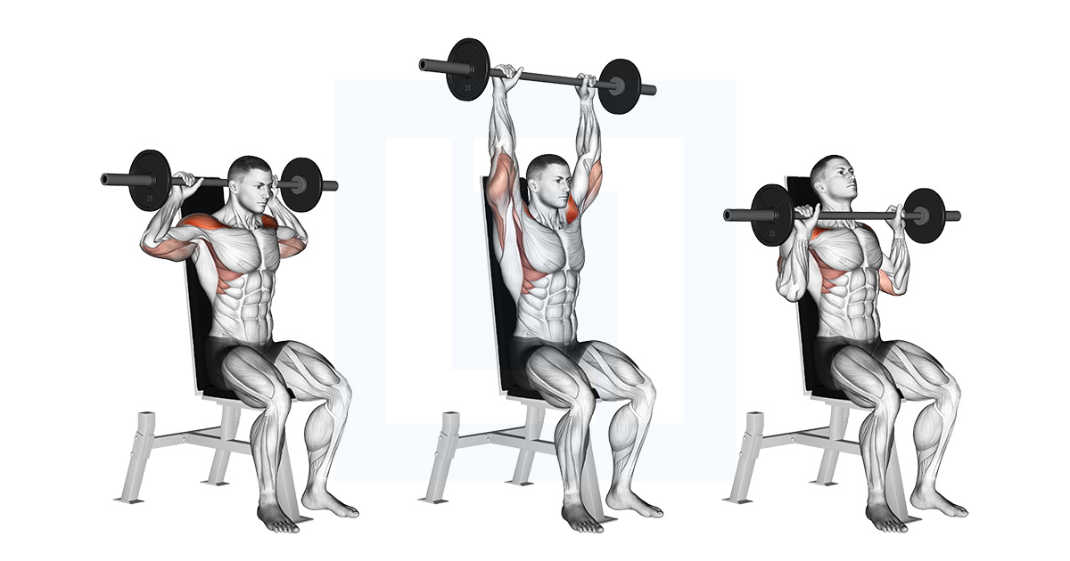 Barbell Seated Bradford Rocky Press