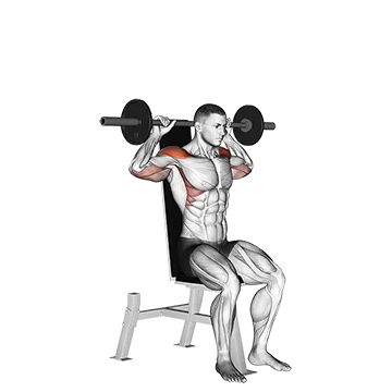 Barbell Seated Bradford Rocky Press