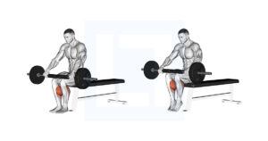 Weighted Seated Calf Raise - Guide, Benefits, and Form