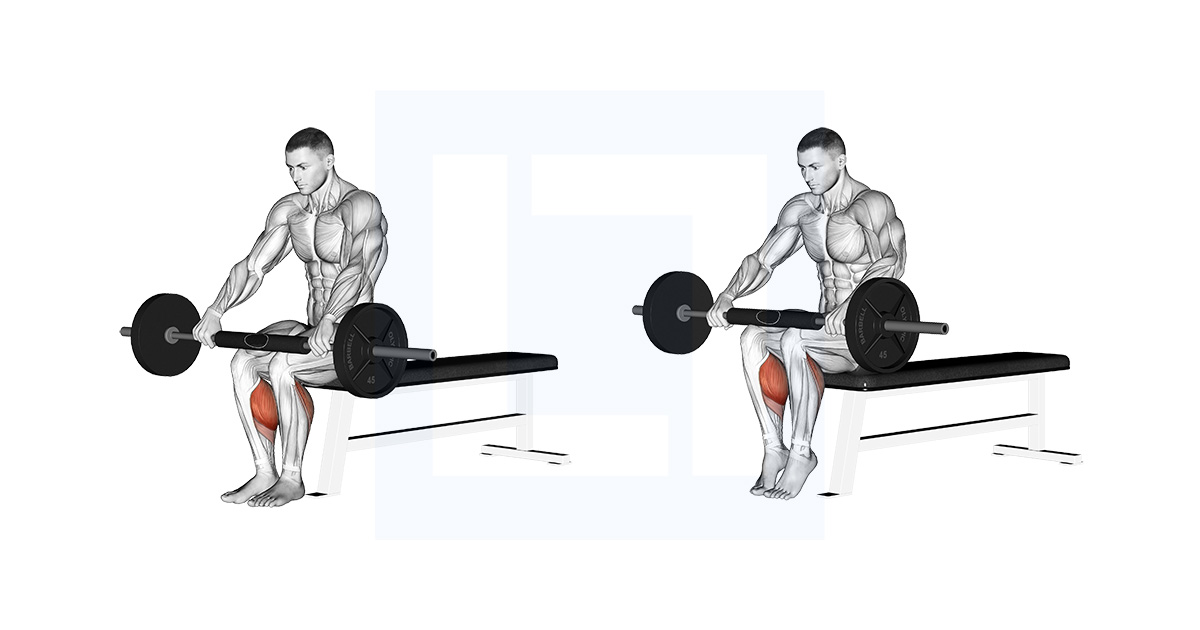 Seated Calf Stretch Guide Benefits And Form