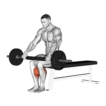 Best Soleus Exercises Barbell Seated Calf Raise