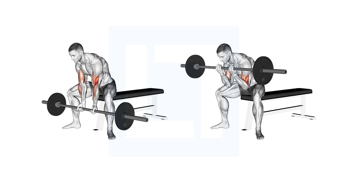Barbell Seated Close Grip Concentration Curl