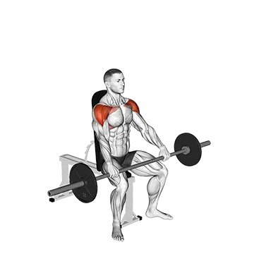Barbell Seated High Front Raise