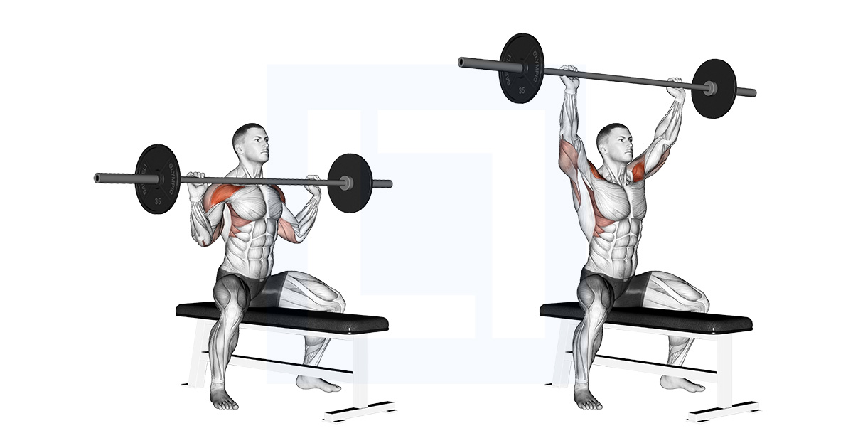 Seated Overhead Press