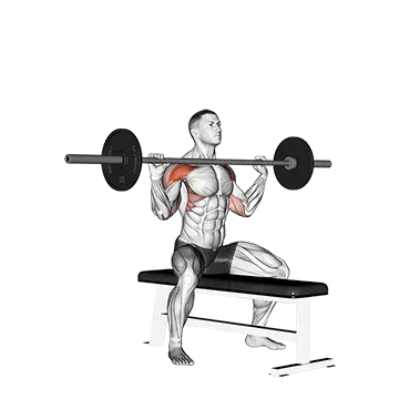 Best Workouts For Water Polo Barbell Seated Overhead Press