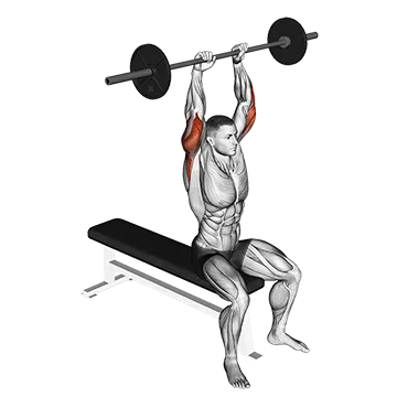 Best Barbell Tricep Workouts Barbell Seated Overhead Triceps Extension