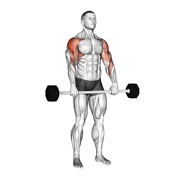 Barbell Shoulder Grip Upright Row
