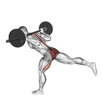 Best Barbell Hamstring Workouts Barbell Single Leg Good Morning