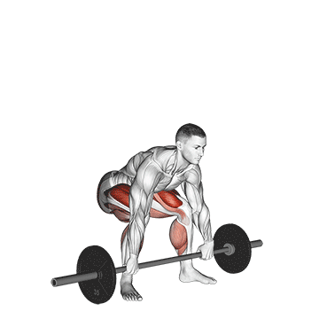 Best Barbell Hamstring Workouts Barbell Snatch Deadlift