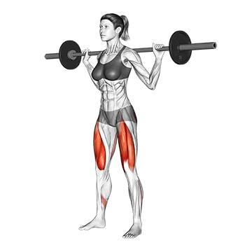 How To Grow Your Glutes Barbell Squat